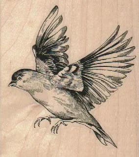 Large Bird Flying Left 3 x 3 1/4-0