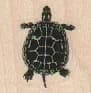 Turtle 1 x 1-0