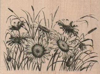 Sunflowers 3 1/2 x 2 1/2-0