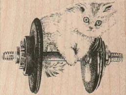 Kitten on Dumbbell 2 3/4 x 2-0