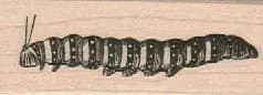 Caterpillar 1 x 2 1/2-0