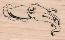 Medium Cephalopod by Brian Kesinger 1 1/2 x 2 1/4-0