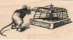 Rat Looking In Trap 1 3/4 x 3-0