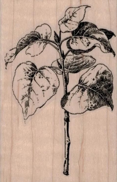 Leafy Twig 2 1/2 x 3 3/4-0