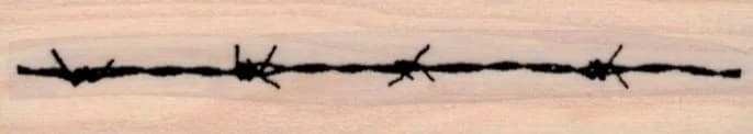 Barbed Wire 3/4 x 3 1/2-0
