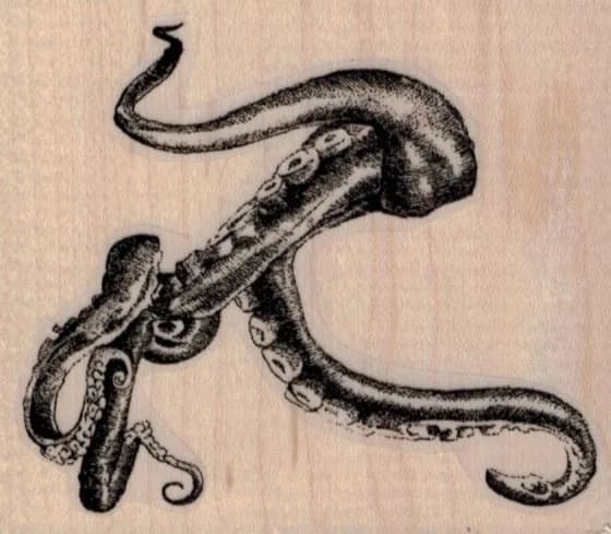 Octopus Tentacle 3 x 2 1/2-0