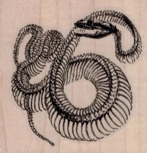 Snake Skeleton 2 1/2 x 2 1/2-0