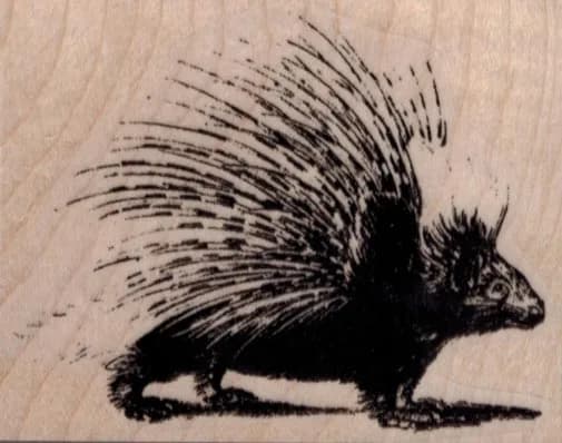 Porcupine 2 3/4 x 2-0