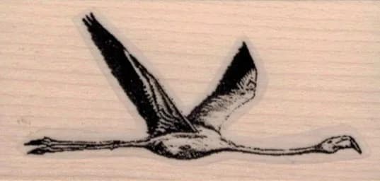 Flying Flamingo 1 1/2 x 2 3/4-0