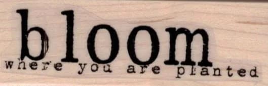 Bloom where you are planted 1 x 2 3/4-0