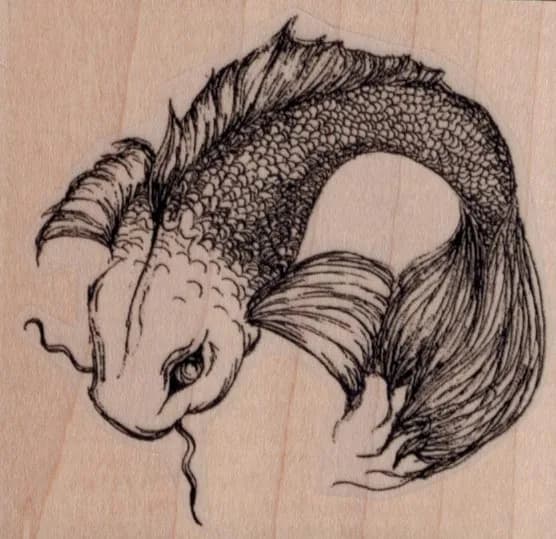 Koi 3 x 2 3/4-0