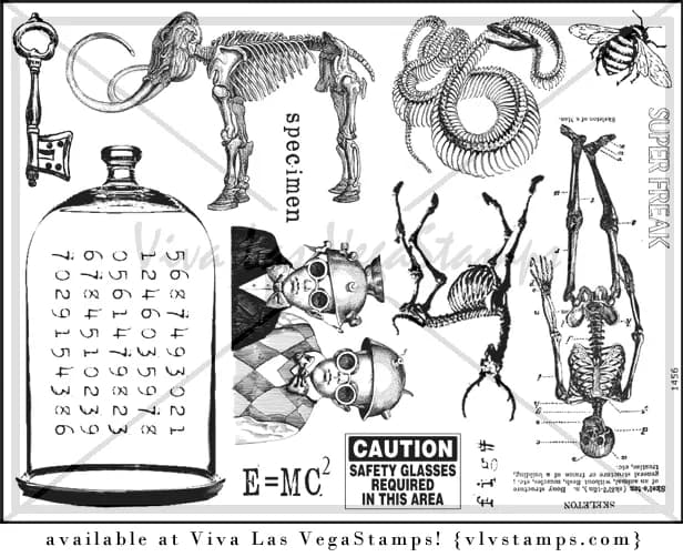Plate 1456-0
