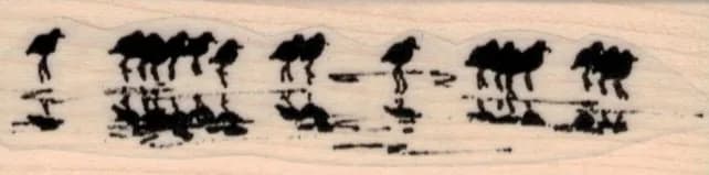 Sandpipers on Beach 1 x 3 1/4-0