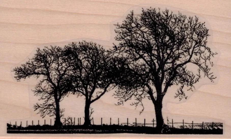 Leafless Trees In Field 3 x 4 3/4-0