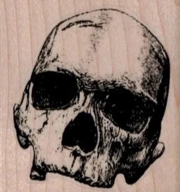 Realistic Skull 2 x2-0