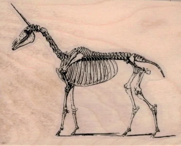 Unicorn Skeleton 3 x 3 3/4-0