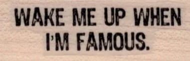 Wake Me Up When I'm Famous 3/4 x 2-0