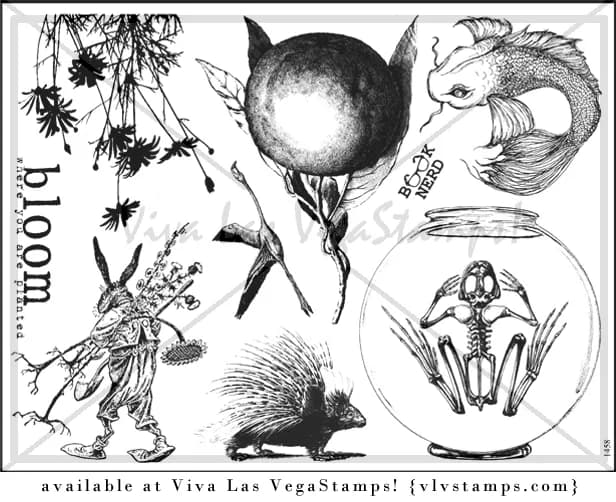Plate 1458-0