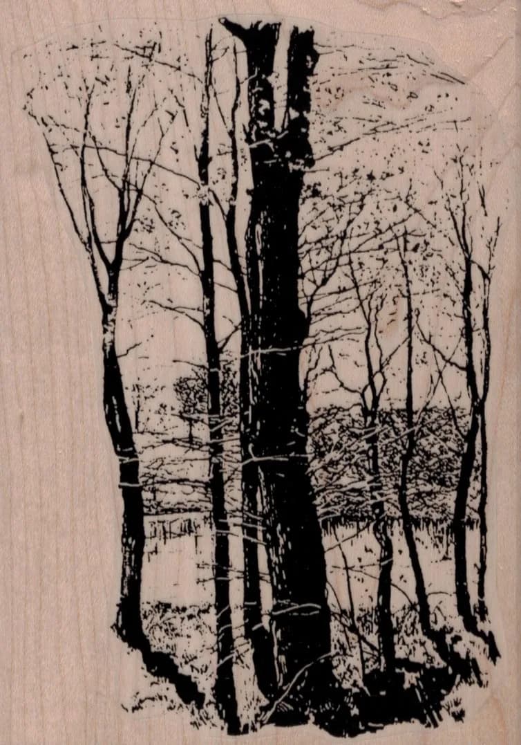 Winter Woods Scene 4 x 5 1/2-0