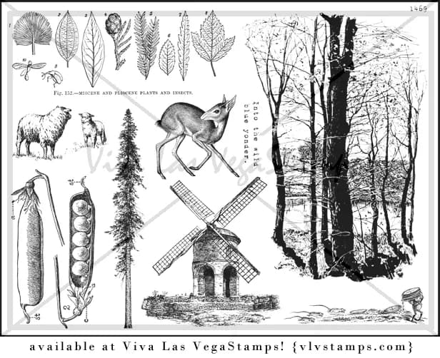 Plate 1469-0