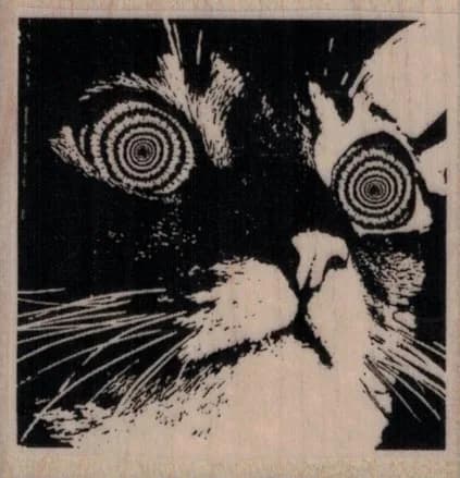 Hypnotic Cat 2 1/4 x 2 1/4-0
