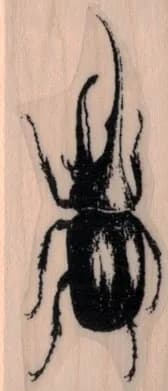 Hercules Beetle 1 x 2-0