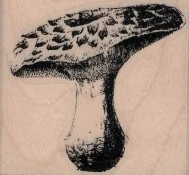 Mushroom 2 x 1 3/4-0