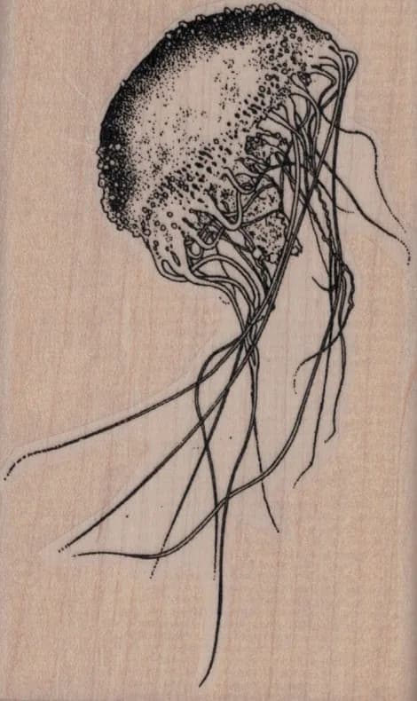 Jelly Fish 2 1/2 x 4-0