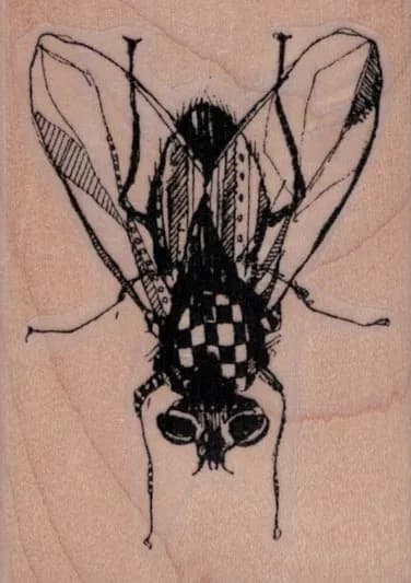 Whimsical Fly 2 x 2 3/4-0