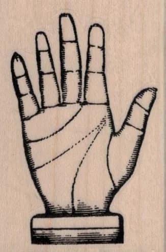 Hand Model by Cat Kerr 1 3/4 x 2 1/2-0