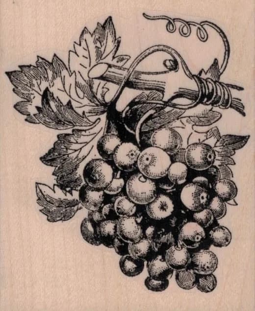 Bunch of Grapes On Vine 2 3/4 x 3 1/4-0
