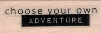 Choose Your Own Adventure 3/4 x 1 3/4-0