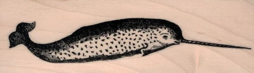 Narwhal 1 1/2 x 4 1/4-0