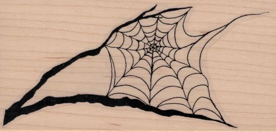 Spider Web In Tree Branches 2 1/2 x 4 3/4-0