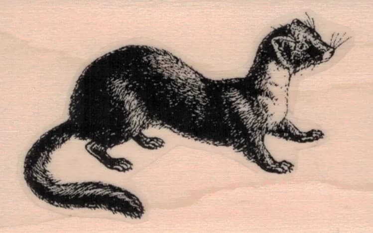 Ferret 1 3/4 x 2 3/4-0
