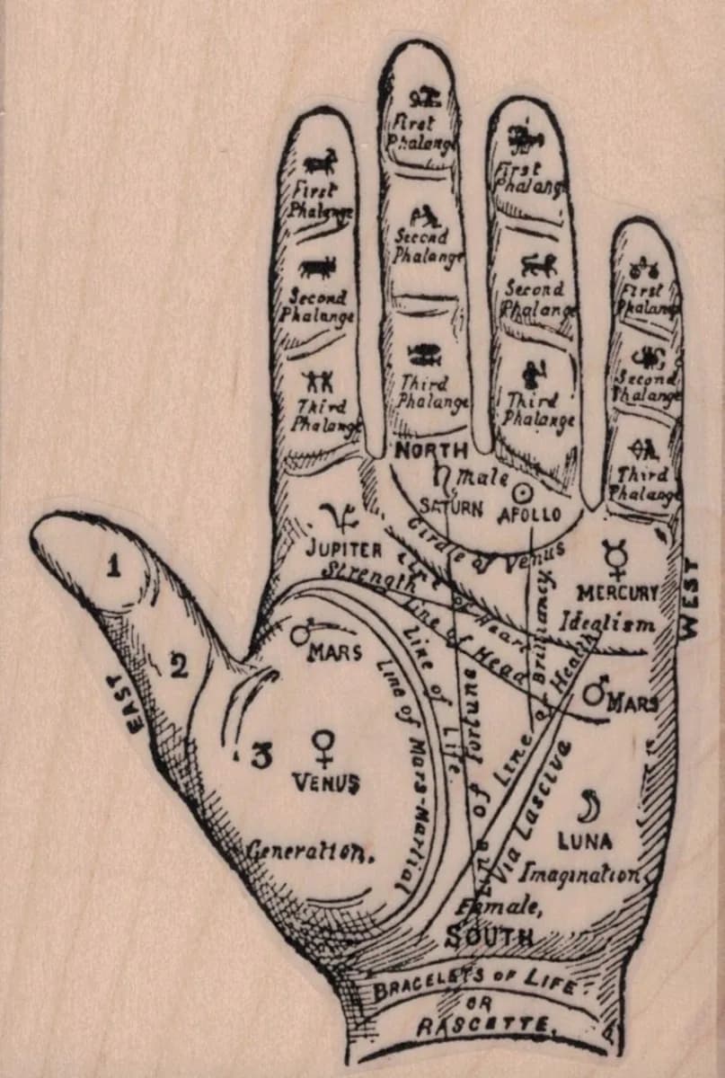 Palmistry Palm 3 x 4 1/4-0