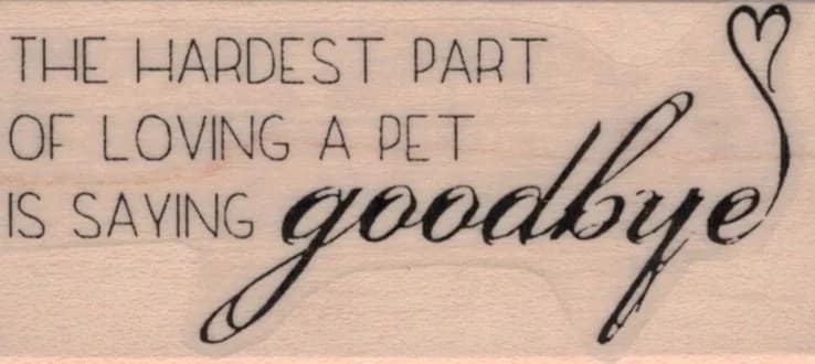 The Hardest Part/Pet 1 1/4 x 2 1/2-0