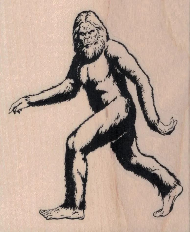 Sasquatch 2 3/4 x 3 1/4-0