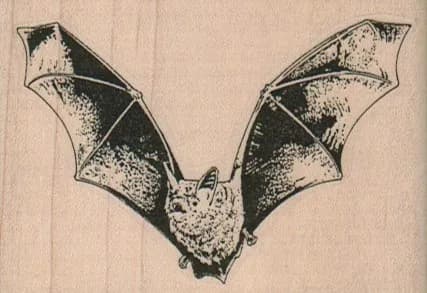 Bat Comin' At Ya 3 x 2-0