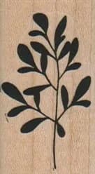 Multi-Leaf Branch 1 x 1 3/4-0