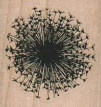 Dandelion Head Silhouette 1 1/2 x 1 1/2-0