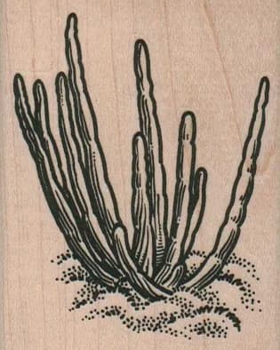 Cactus Clump 2 1/4 x 2 3/4-0