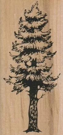 Fir Tree 1 1/2 x 3-0