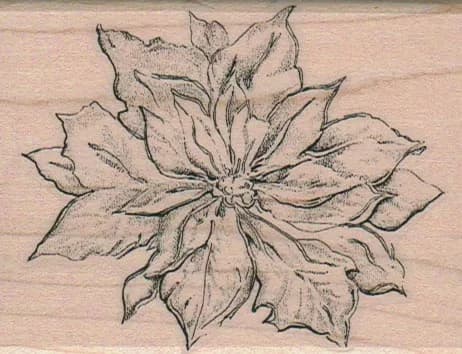 Poinsettia 2 1/2 x 3 1/4-0