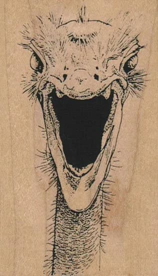 Screaming Ostrich Head 2 1/4 x 3 3/4-0