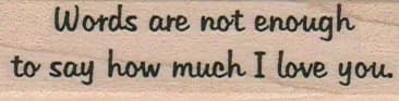 Words Are Not Enough 3/4 x 2 1/2-0