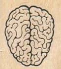 Brain 1 x 1-0