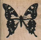 Butterfly/Spotted Wing/Sm 1 1/4 x 1 1/4-0