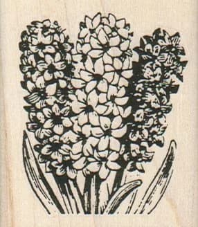 Hyacinth And Leaves 2 x 2 1/4-0