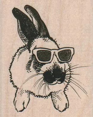 Rabbit In SunGlasses 2 1/4 x 2 3/4-0